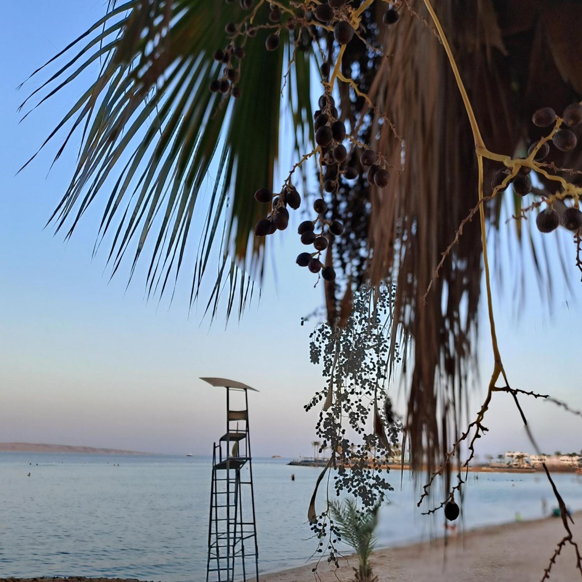 Hotel Tiba Golden Resort, Down Town Hurghada